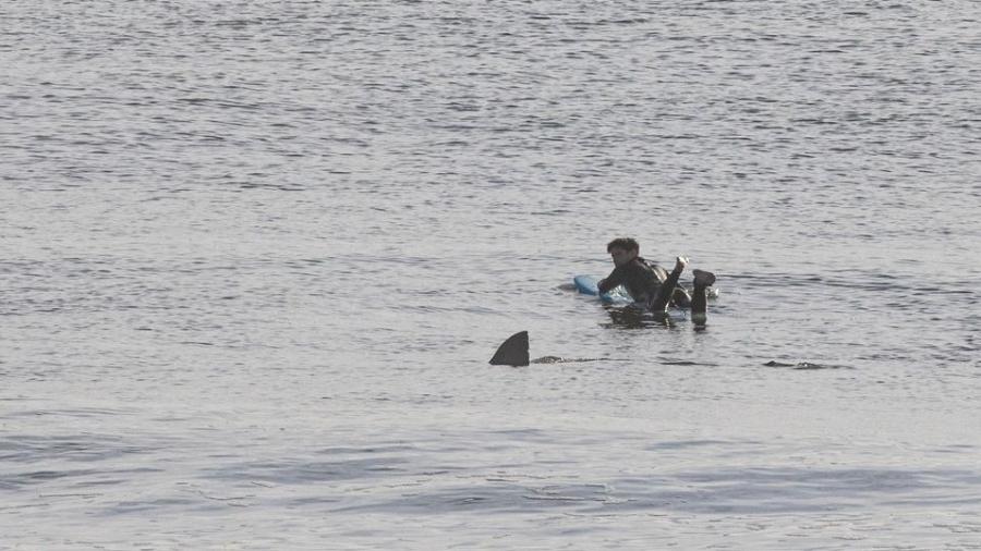 Surfista Devon Zimmerman vê tubarão em mar e fica paralisado na prancha - Joe Mault/Orleans Camera
