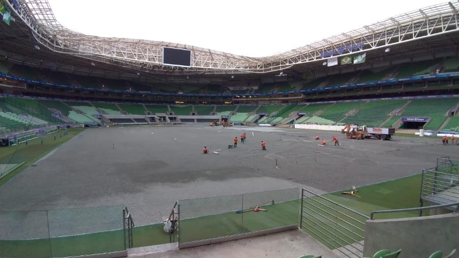 Estádio passou por troca de gramado no começo de 2020 - Divulgação/Allianz Parque