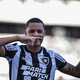 Botafogo negocia saídas de Janderson e de mais dois jogadores