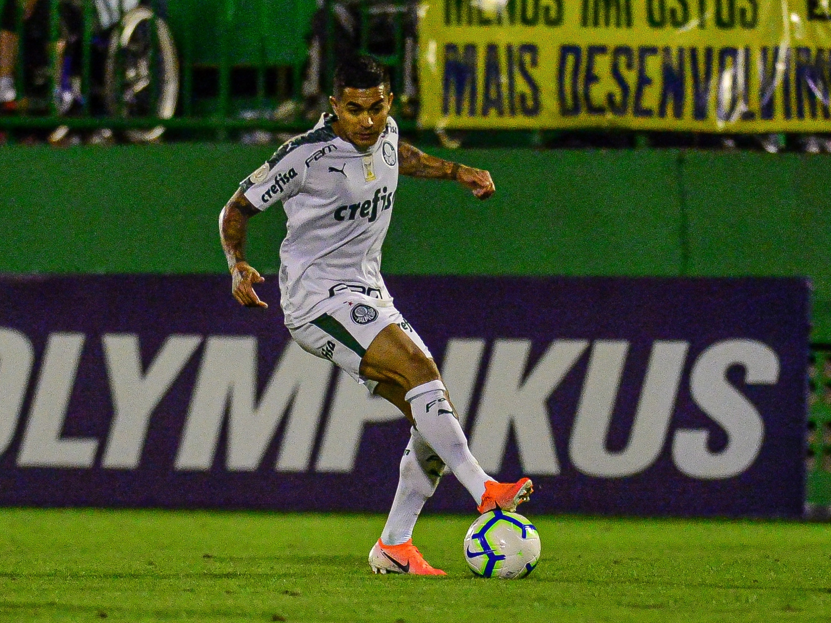 Palmeiras faz valer insistência e Allianz Parque vira trunfo do