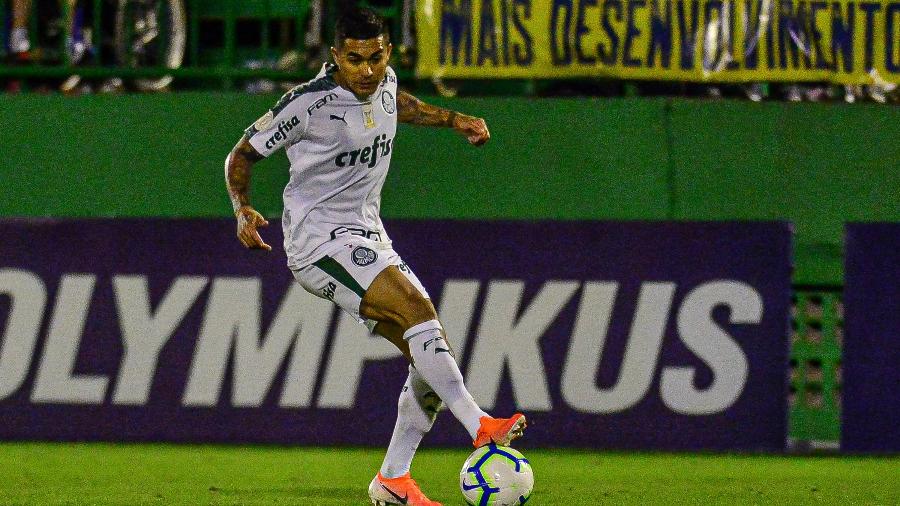 O atacante Dudu atuou em 30 das 33 partidas do Palmeiras nesta temporada - Ricardo Luis Artifon/AGIF
