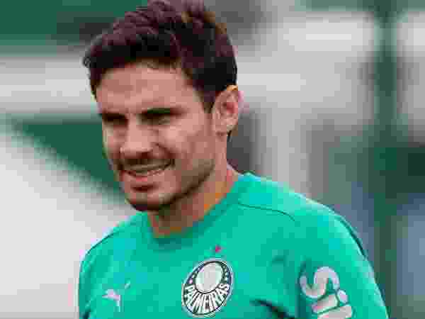 Cesar Greco/Palmeiras/by Canon