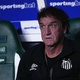 Cuca elogia sint&eacute;tico do Palmeiras: 'T&atilde;o ou mais macio que o natural'