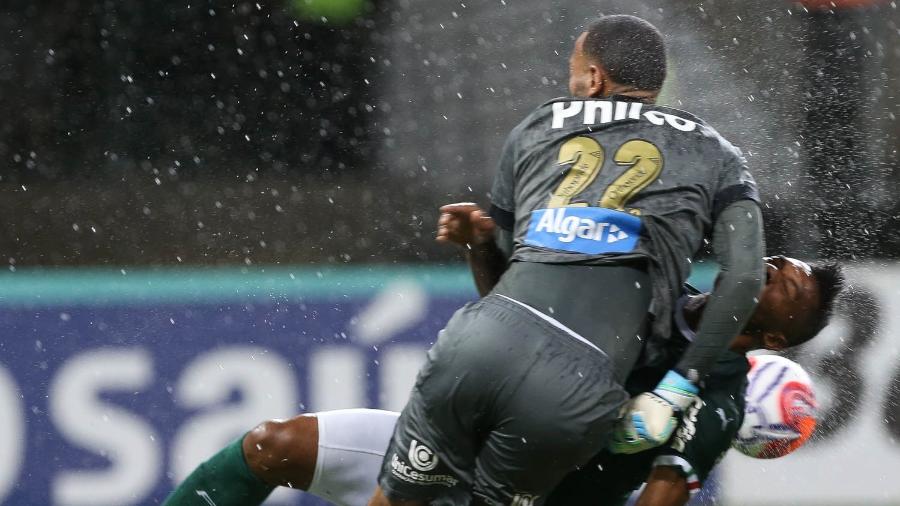 Cesar Greco/SE Palmeiras