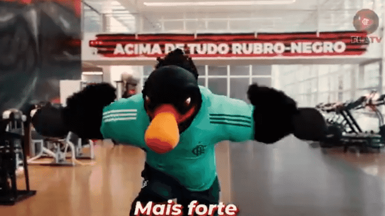 Mascote do Flamengo - Reprodução/Twitter - Reprodução/Twitter