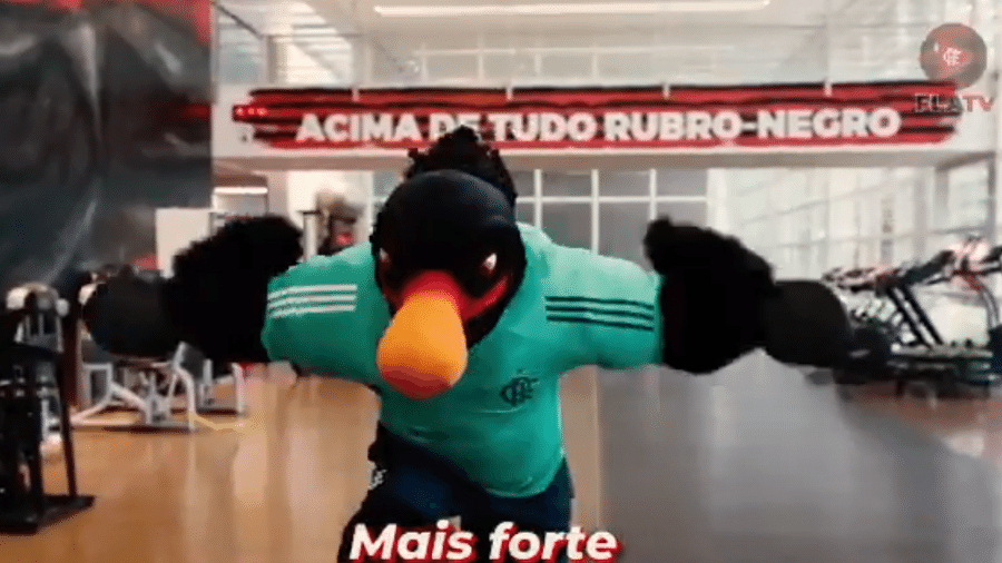 Novo mascote do Flamengo faz musculação - Reprodução/Twitter