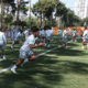 Palmeiras treina detalhes para jogo contra o Boca Juniors pela Libertadores