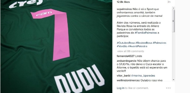 Palmeiras muda cor do número da camisa em homenagem à campanha Outubro Rosa - Reprodução/Instagram - Reprodução/Instagram