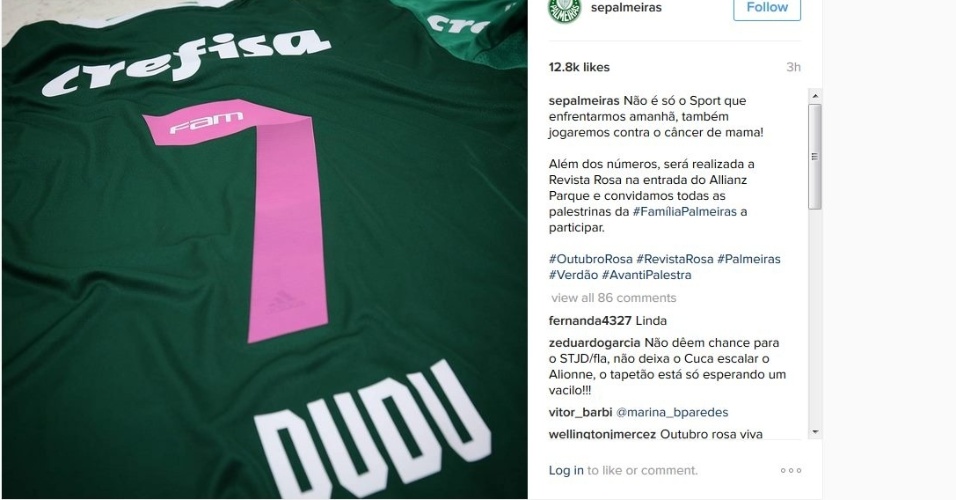 Palmeiras troca a cor do número da camisa em apoio ao 