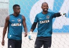 Divulgação/Botafogo