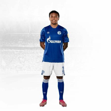 Weston McKennie, meio-campista do Schalke 04 - Divulgação/Site oficial do Schalke 04