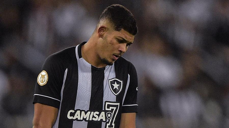 Erison, do Botafogo, lamenta chance perdida durante duelo contra o Avaí - Thiago Ribeiro/AGIF