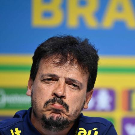 Fernando Diniz comandará a seleção nas Eliminatórias