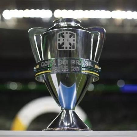 Troféu da Copa do Brasil Sub-20 que será disputado entre Flamengo e Palmeiras - Reprodução/CBF