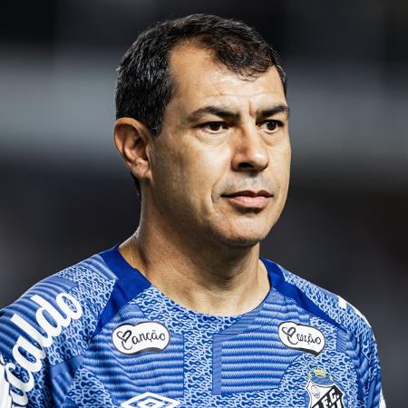 Fábio Carille, técnico do Santos, durante jogo contra o Goiás