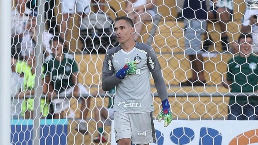 Fernando Prass pode substituir Weverton no jogo contra o Flamengo - Cesar Greco/Ag Palmeiras/Divulgação