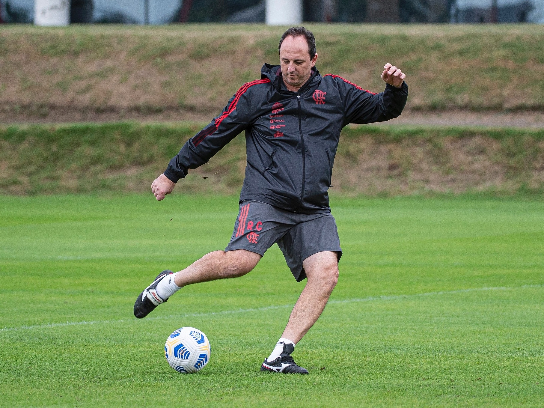 Flamengo anuncia 3 reforços para 2021 e Rogério Ceni dispensa jogador de  forma surpreendente