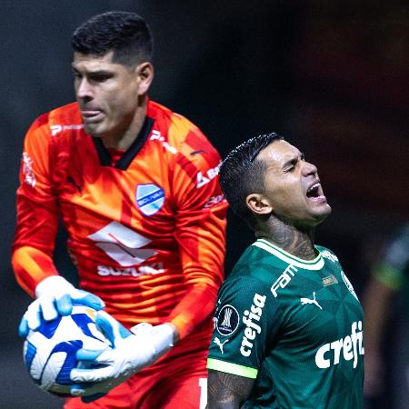 Dudu se lamenta durante Palmeiras x Bolívar, jogo da Libertadores