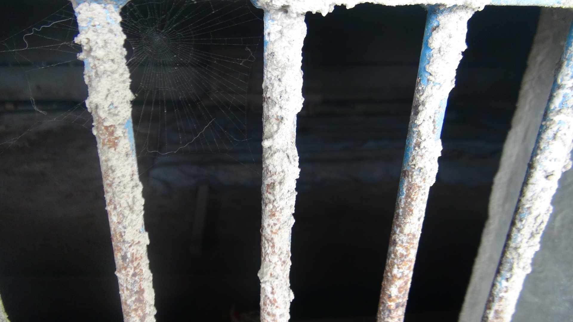 Teias de aranha tomam conta das bilheterias do Estádio Municipal do Guarujá, que está impedido de receber partidas oficiais - Samir Carvalho/UOL