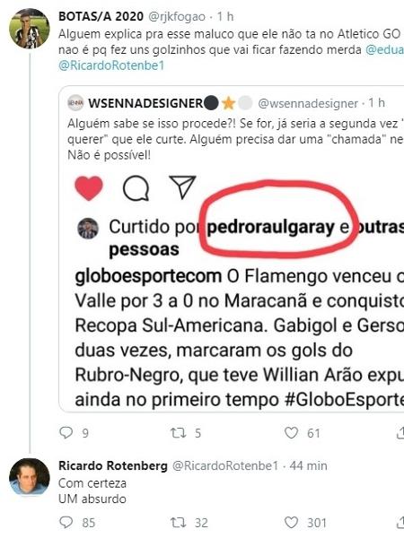 Rocardo Rotemberg, membro do conselho gestor do Botafogo, critica curtida de Pedro Raul - Reprodução