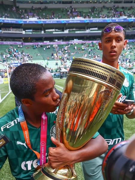 Brasileirão (Brazilian Série A) trophy  Brasileirao, Gigante palmeiras,  Futebol de rua