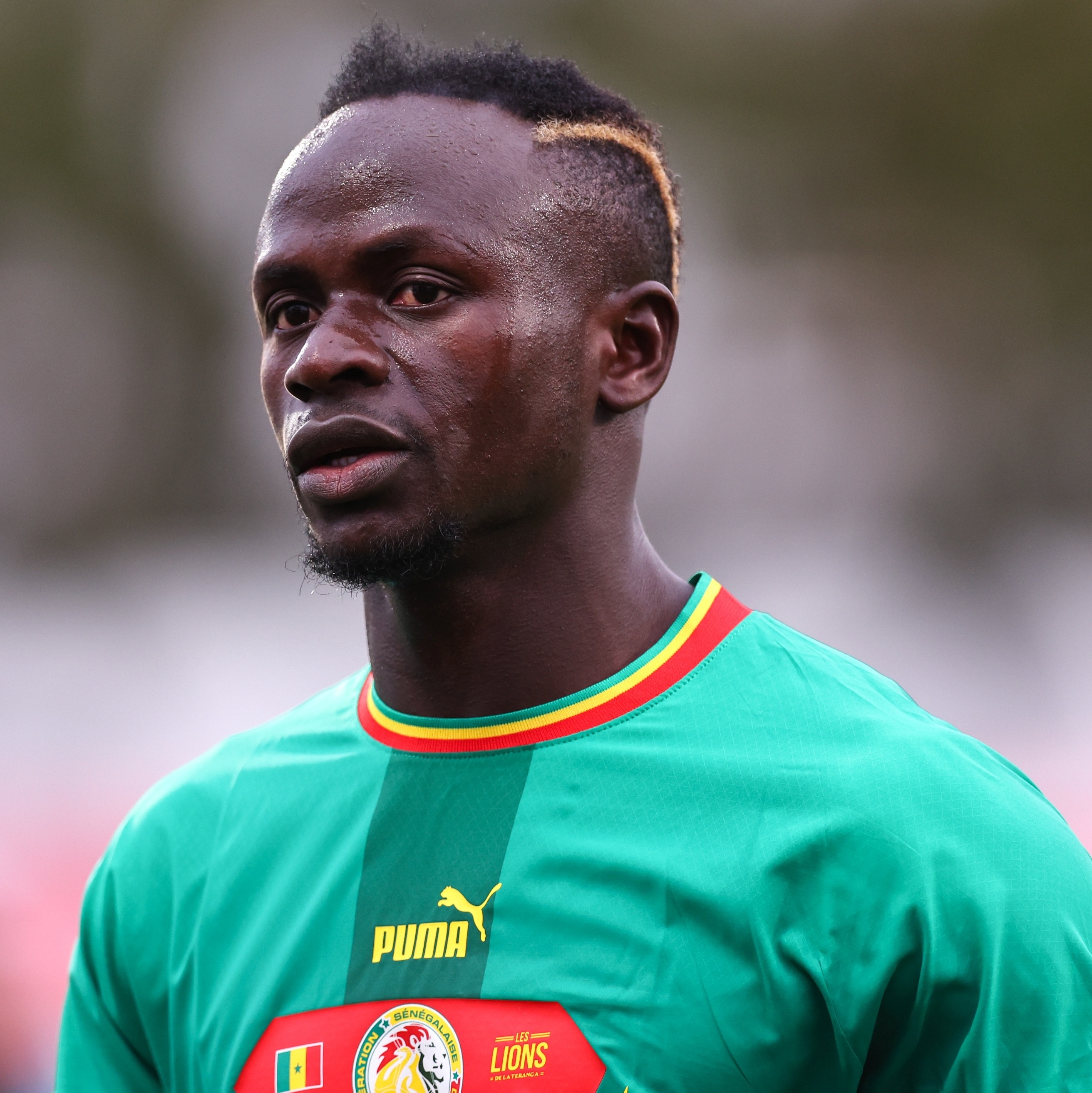 Senegal tem nomes e confiança para provar que existe vida sem Mané -  20/11/2022 - UOL Copa 2022