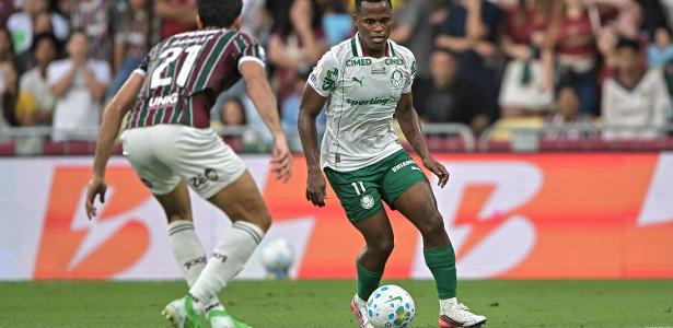Palmeiras and Fluminense Meet in Copa Libertadores Semifinal