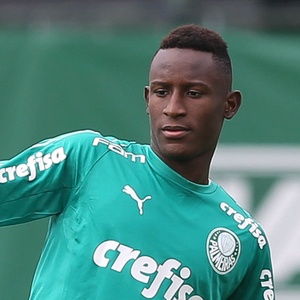 Cesar Greco/Ag. Palmeiras/Divulgação