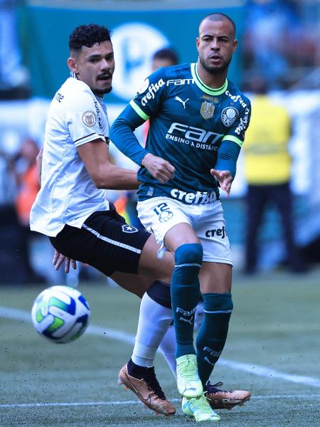 Mayke, do Palmeiras, e Tiquinho Soares, do Botafogo, disputam bola em jogo pelo Brasileirão