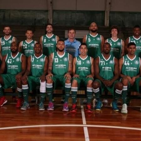 Time profissional de basquete do Palmeiras em 2014/15