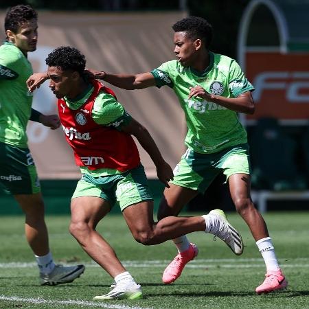 Estêvão participou normalmente do treino do Palmeiras desta segunda-feira (12)