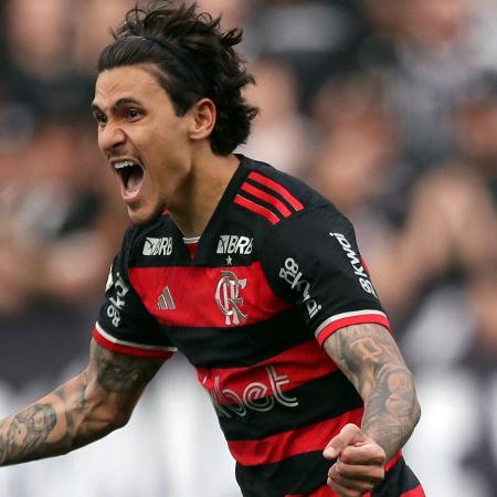 Pedro comemora gol em Corinthians x Flamengo, partida do Campeonato Brasileiro