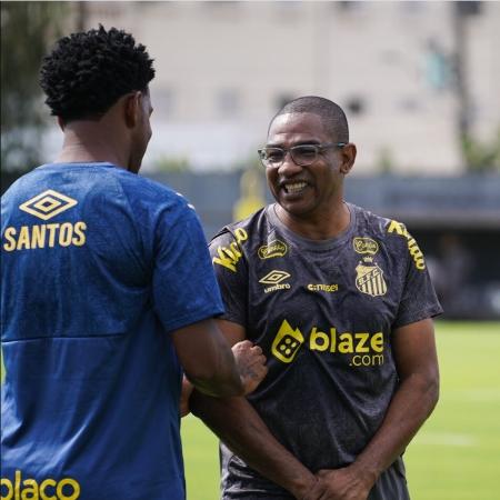 César Sampaio assume como auxiliar fixo do Santos  - Guilherme Kastner/ Santos FC