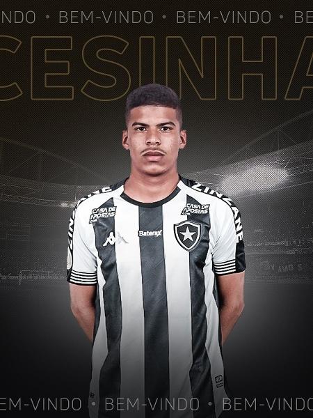 Botafogo anuncia meia-atacante Cesinha, ex-Internacional - Reprodução Twitter