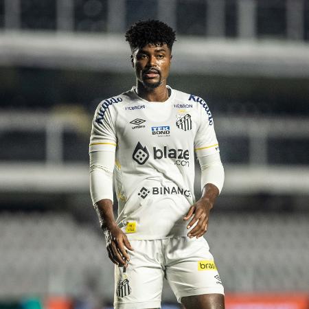 Bauermann, do Santos, em jogo contra o Botafogo-SP pela Copa do Brasil - Abner Dourado/AGIF