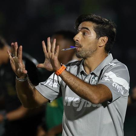 Abel Ferreira durante a partida entre Botafogo-SP x Palmeiras pela Copa do Brasil