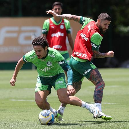 Palmeiras inicia semana de treinos durante pausa do Brasileirão para data Fifa