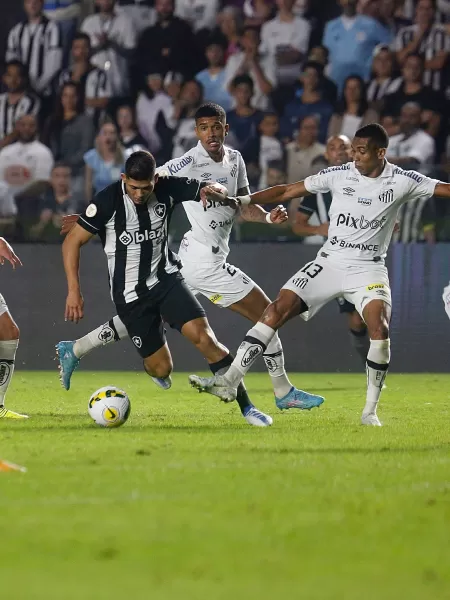 Botafogo x Santos: veja onde assistir ao vivo, horário e escalações