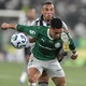 Palmeiras cozinha o Botafogo e ganha três pontos enormes 