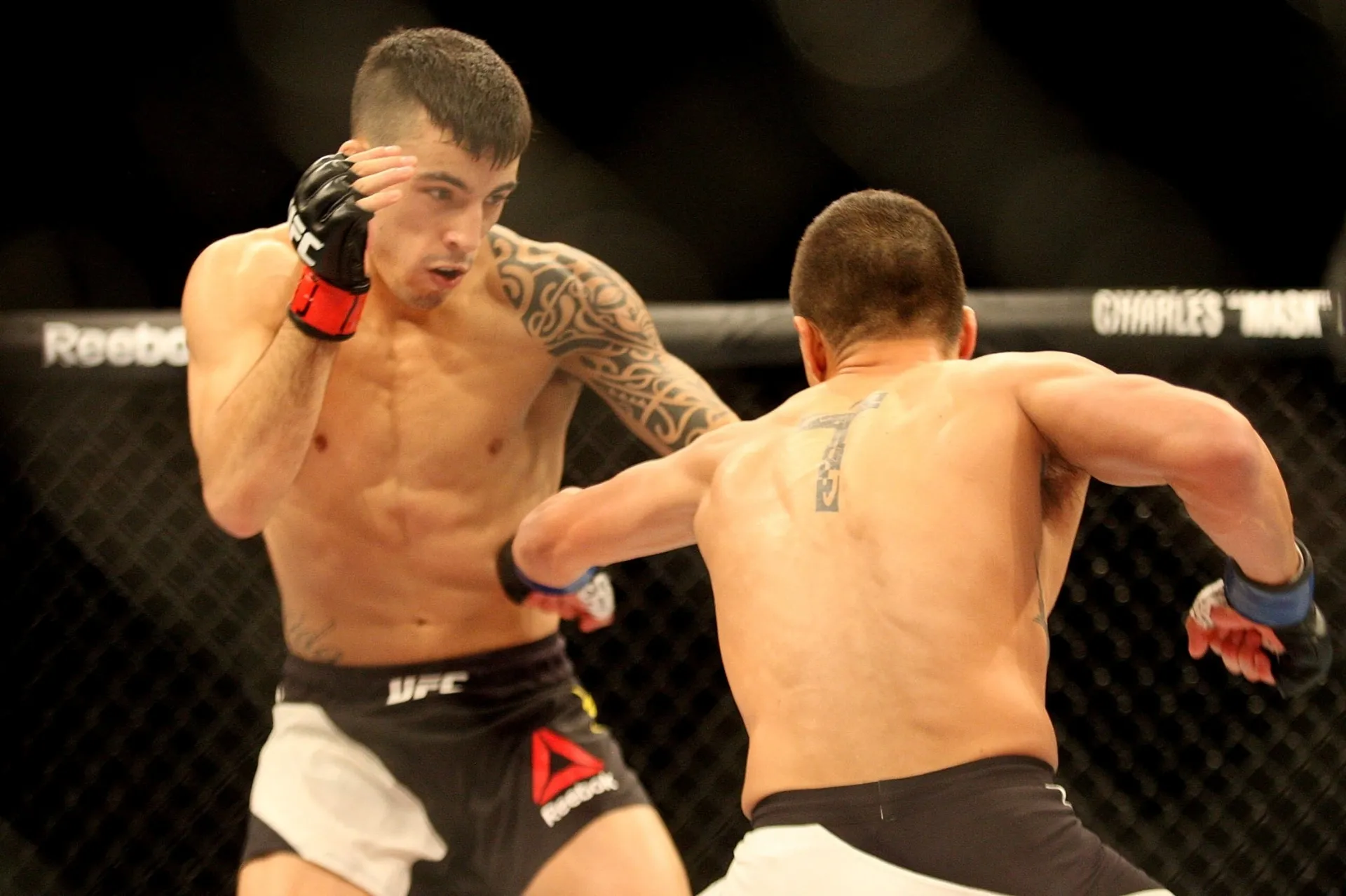 Thomas Almeida conseguiu mais um nocaute avassalador no UFC, agora contra Anthony Birchak - Reinaldo Canato/UOL