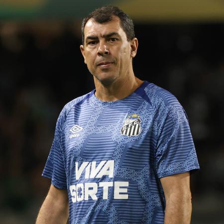 Fabio Carille, técnico do Santos, durante jogo contra o Coritiba pela Série B - JOÃO HEIM/ESTADÃO CONTEÚDO