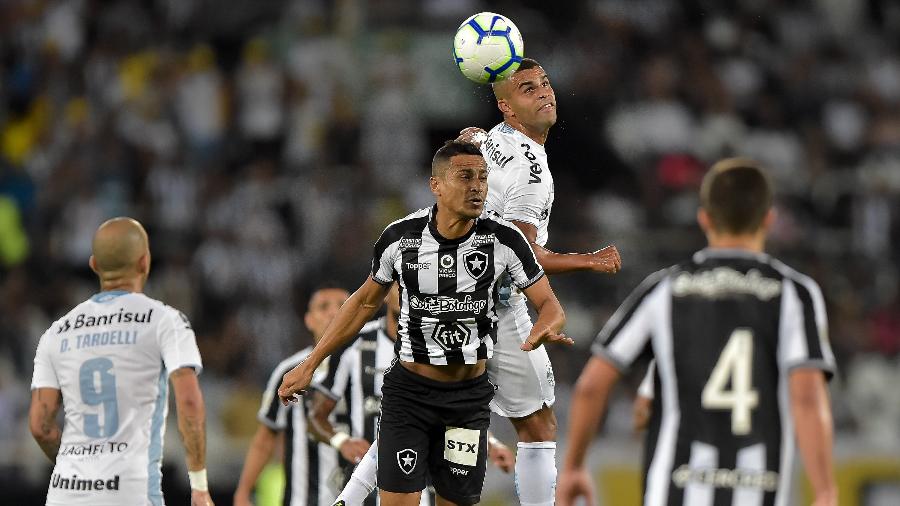 Botafogo x Grêmio: onde assistir ao vivo ao jogo do Brasileirão