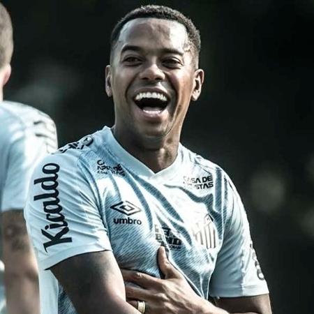 Robinho sorri em treino no Santos - Ivan Storti/Santos FC