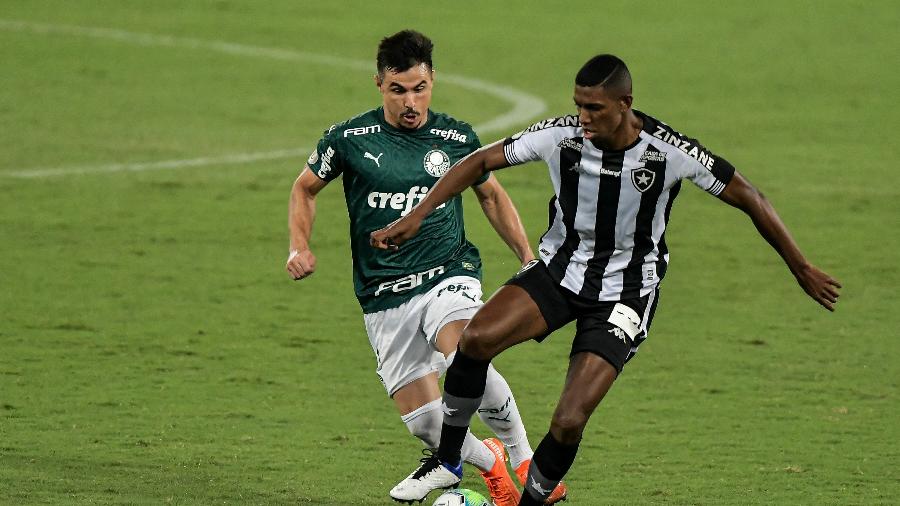 Lance do confronto Botafogo e Palmeiras, no Rio, pelo Brasileirão - Thiago Ribeiro/AGIF