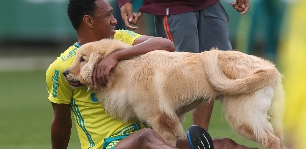 Cachorro de Fabrício foi uma atração no treino do Palmeiras - Cesar Greco/Agência Palmeiras