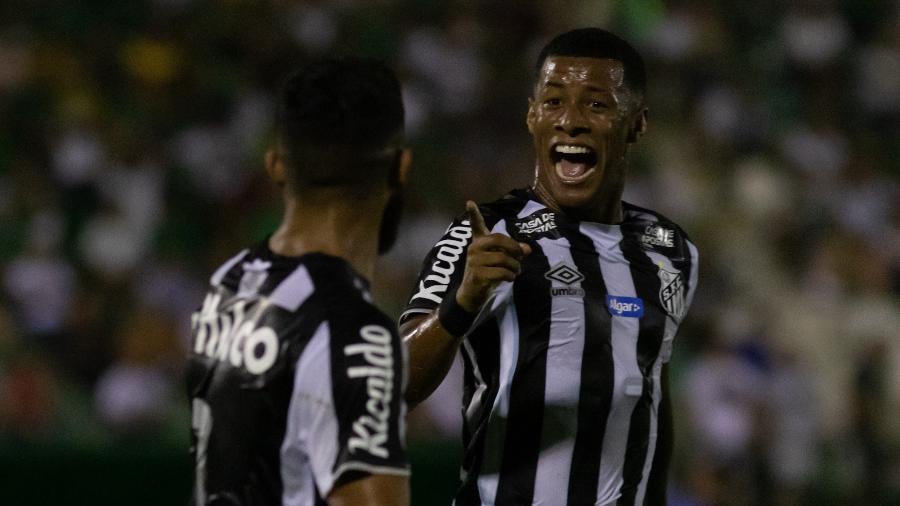Arthur Gomes comemora seu gol na partida entre Guarani e Santos - Rebeca Reis/AGIF