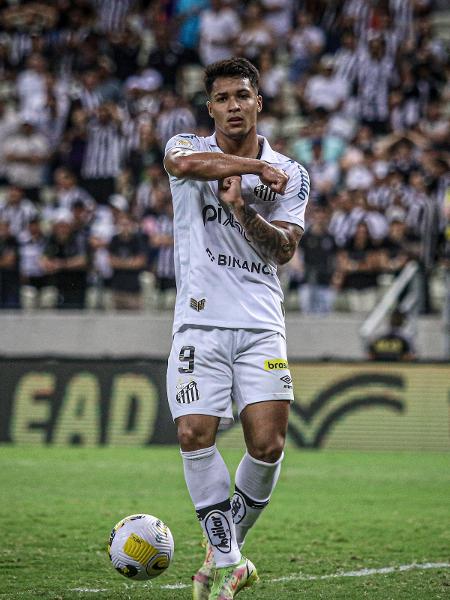  Marcos Leonardo, do Santos, comemora seu gol durante partida contra o Ceará no Brasileirão - Lucas Emanuel/AGIF
