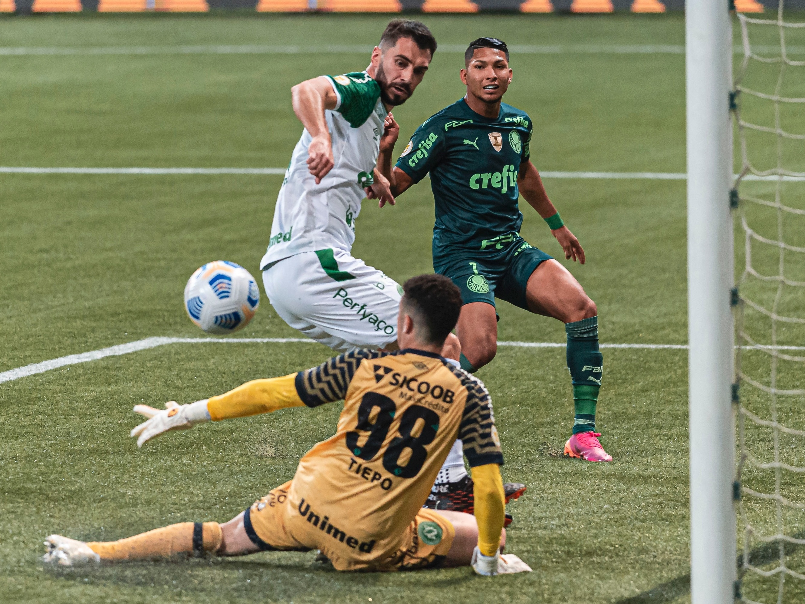 Palmeiras aposta em retrospecto positivo para vencer a Chapecoense no Brasileirão