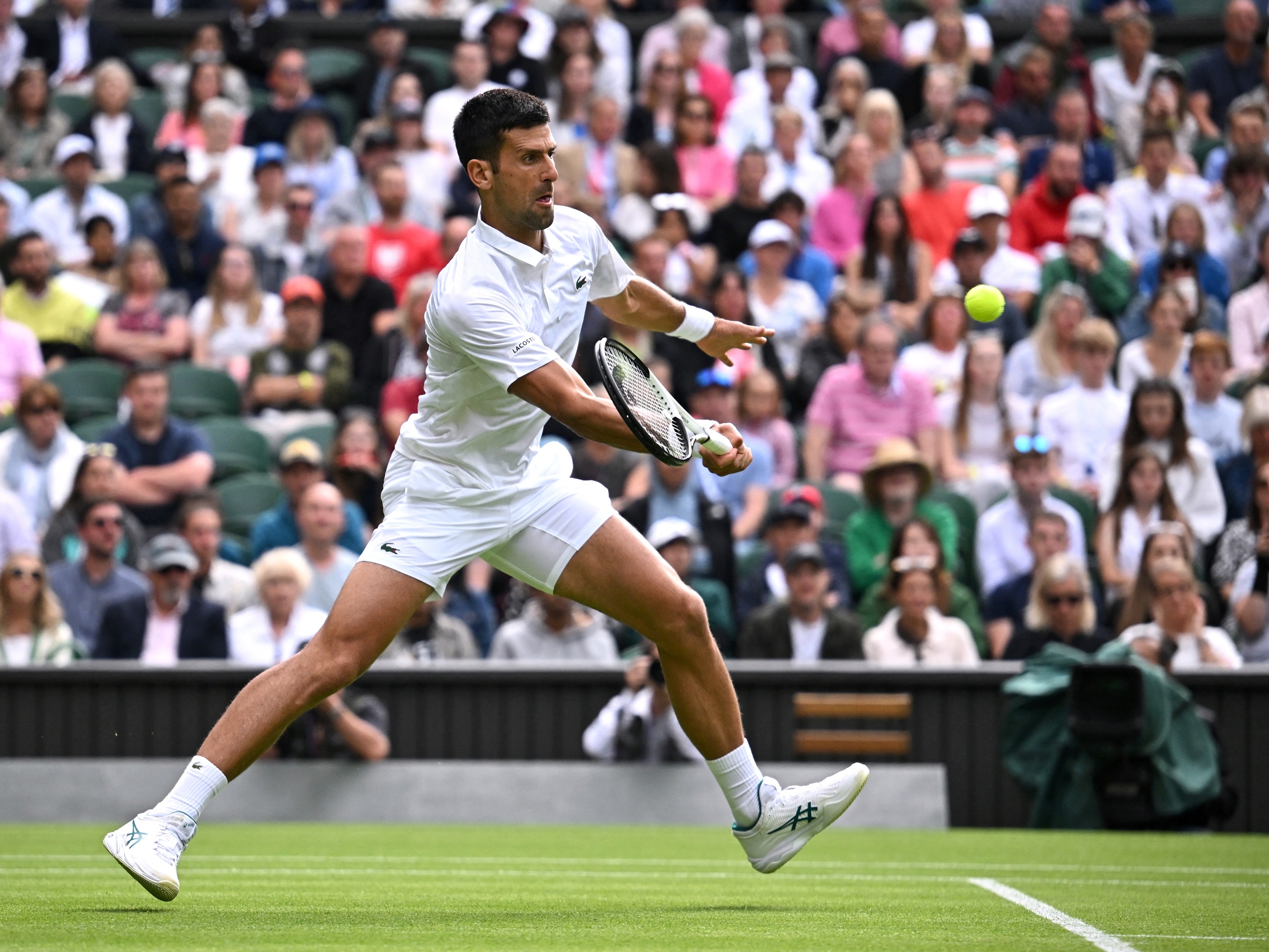 Djokovic voa em segurança e soma 29.ª vitória seguida em Wimbledon