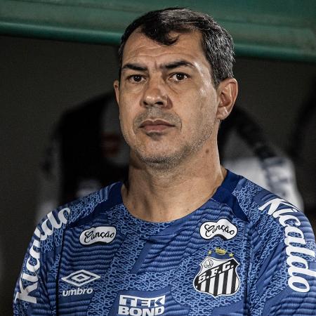 Fábio Carille, técnico do Santos, durante jogo contra o Mirassol, pela Série B do Brasileirão